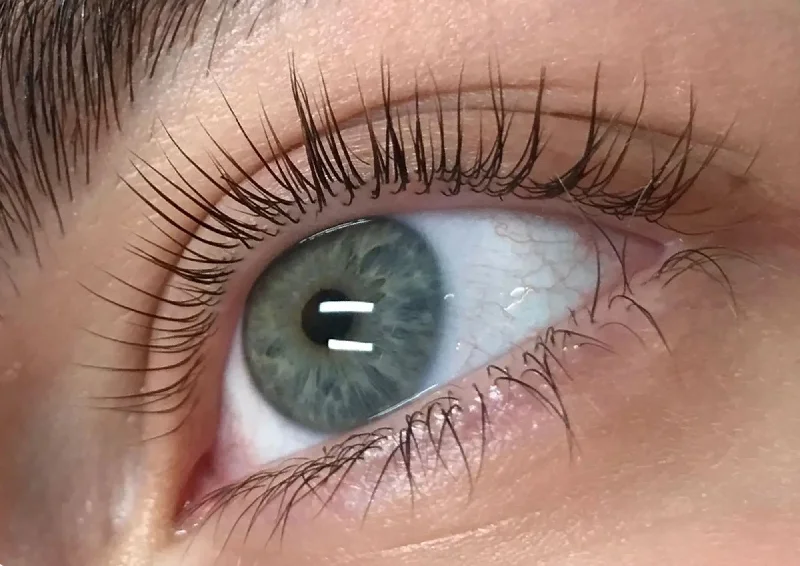 Lash Volume Lift