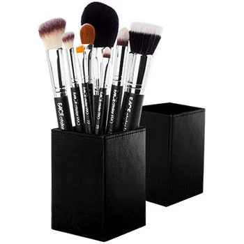 PRO Series Brush Set with Magnetized Case